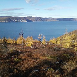 ������� ������(�������)