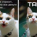 ���� ����, ����������, 48 ��� - ��������� 10 ���� 2014 � ������ ������ ��������