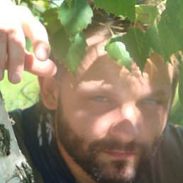 Romns, ����, 49 ���