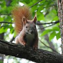 ���� �����, �������, 61 ��� - ��������� 29 ����� 2014 � ������ ������ ��������