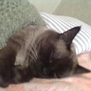 ���� ����, ���������� - ��������� 9 ������ 2014 � ������ ���� ����������