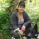 �������� � ������ �� ������� ���� ����������