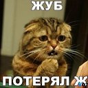 ���� ������, ������, 56 ��� - ��������� 19 ����� 2014 � ������ ���� ����������