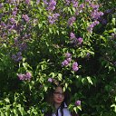 ���� ���������, ���� - ��������� 5 ��� 2014 � ������ ������ 2014�