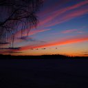 ���� ������, ������, 41 ��� - ��������� 22 ������� 2014 � ������ ��������