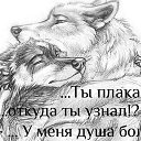 ���� �����, ���������, 44 ���� - ��������� 13 ������ 2014 � ������ ���� ����������