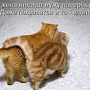 ���� �������, ��������-��-������, 48 ��� - ��������� 10 ������� 2014 � ������ ������ ��������