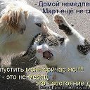 ���� �������, ��������-��-������, 48 ��� - ��������� 10 ������� 2014 � ������ ������ ��������