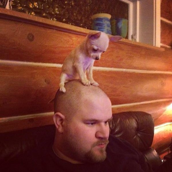   :)
