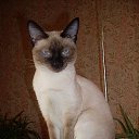 ���� ����, ������������, 47 ��� - ��������� 13 ���� 2014 � ������ ���� ����������