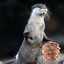 ���� 28 �� ������, �������� - ��������� 23 ���� 2014 � ������ ������ ��������