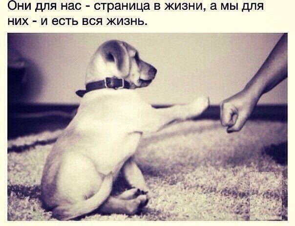 Andrei - 31  2014  21:42