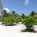 ���� ������, ����, 38 ��� - ��������� 21 ������� 2014 � ������ ������� 2014�