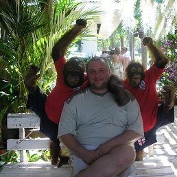 �������, 52 ����, ������