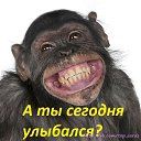 ���� �����, ������� - ��������� 19 ���� 2014 � ������ ������ ��������