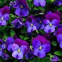 � ����� �������� ���� vk.com/fotiko �� ������� ��������� ���� � fotiko.ru�