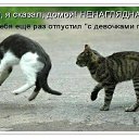 ���� �����, ������������ - ��������� 5 ������ 2014 � ������ �������, ���� ������� ��������.�