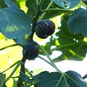 ���� ���������� �� ������� ������