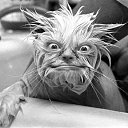  ,  , 45  -  28  2014