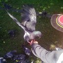 ���� �����, �����������, 61 ��� - ��������� 22 ������� 2014 � ������ ������������������»