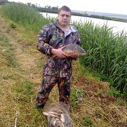 ���� �����, ������, 34 ���� - ��������� 14 ���� 2014