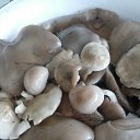 ���� �������, ������������, 70 ��� - ��������� 20 ���� 2014 � ������ ���� ������