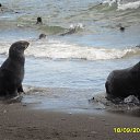 ���� Leonid, ���������, 65 ��� - ��������� 6 ���� 2014 � ������ �������