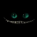 ���� ����������, ������� - ��������� 8 ��� 2014 � ������ ���� ����������