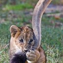 ���� Svetlana, ������ - ��������� 8 ������� 2014 � ������ ���� ����������