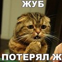 ���� �������, ���������, 63 ���� - ��������� 4 ��� 2014 � ������ ������ ��������