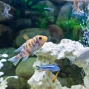  , , 46  -  24  2014      &quot; &quot;