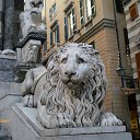 &quot;marble lion&quot;
San Lorenzo Cathedral - Genova. 
Italia.   Liguria - Italia