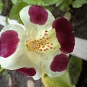 ���� �������, ������, 71 ��� - ��������� 8 ���� 2014 � ������ ���� ����������