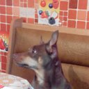 ���� ������, ����� - ��������� 25 ���� 2014 � ������ ���� ����������