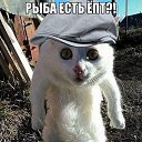 ���� ������a�, ��������, 34 ���� - ��������� 8 ��� 2014 � ������ ������ ��������