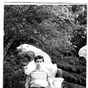 ���� ������, �������, 85 ��� - ��������� 29 ��� 2014 � ������ ���� ����������