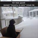 ���� ����, ������ - ��������� 10 ������ 2014 � ������ ���� ����������