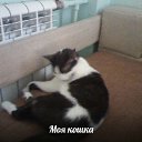 ���� �����, ������-��-����, 35 ��� - ��������� 22 ����� 2014 � ������ ���� ����������