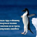 ���� �����, �����, 48 ��� - ��������� 18 ������� 2014 � ������ ������ ��������