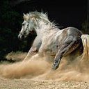  , -, 62  -  27  2014   