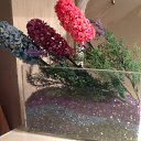 ������ ������! �� ������� ���� ����������