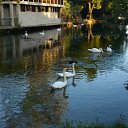 ���� ���������, �������, 44 ���� - ��������� 24 ����� 2014