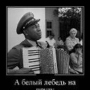 ���� Igor, ���-��� - ��������� 5 ������� 2014 � ������ ������ ��������