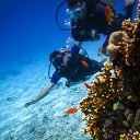 ���� ������, ��������, 48 ��� - ��������� 22 ���� 2014 � ������ ������� 2014�