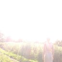 ���� �����, ������������� - ��������� 17 ���� 2014