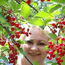 ���� �����, ���������, 60 ��� - ��������� 29 ���� 2014 � ������ ���� ����������