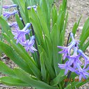  ,  -  26  2014     .