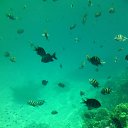 ���� ��������, ����������� - ��������� 21 ���� 2014 � ������ ������ ��������