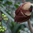 ���� ==Elena==, ������� - ��������� 23 ���� 2014 � ������ ���� ����������