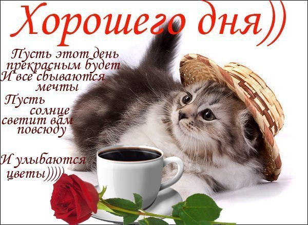 ����� - 9 ��� 2014 � 16:42